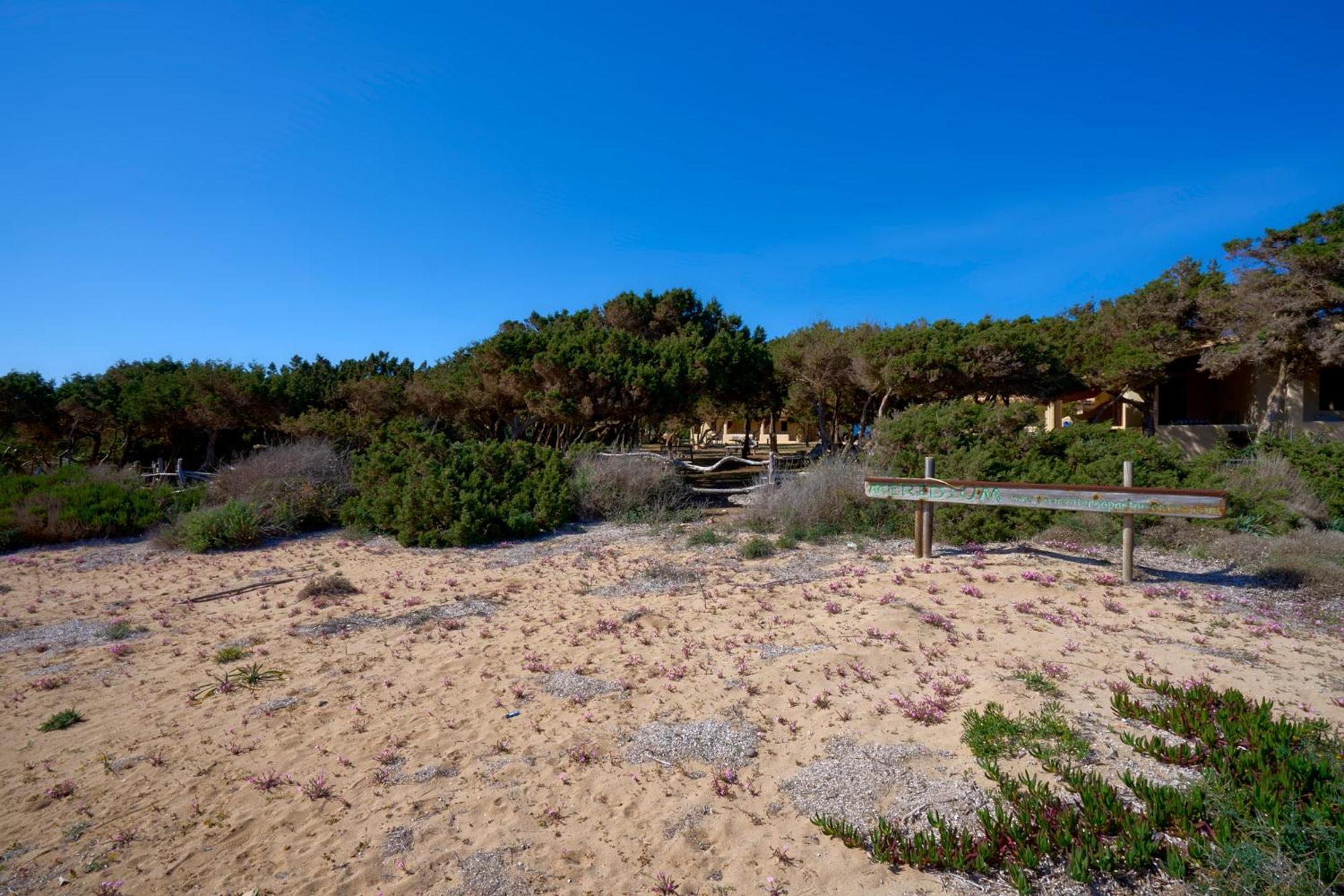 Meridium Formentera By Tentol Hotels ปลายามิจอร์น ภายนอก รูปภาพ