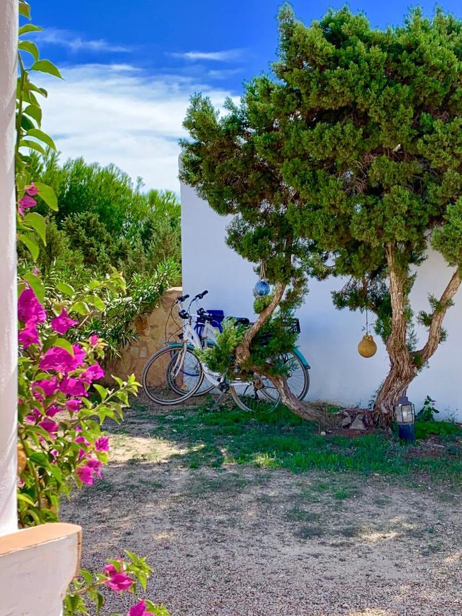 Meridium Formentera By Tentol Hotels ปลายามิจอร์น ภายนอก รูปภาพ